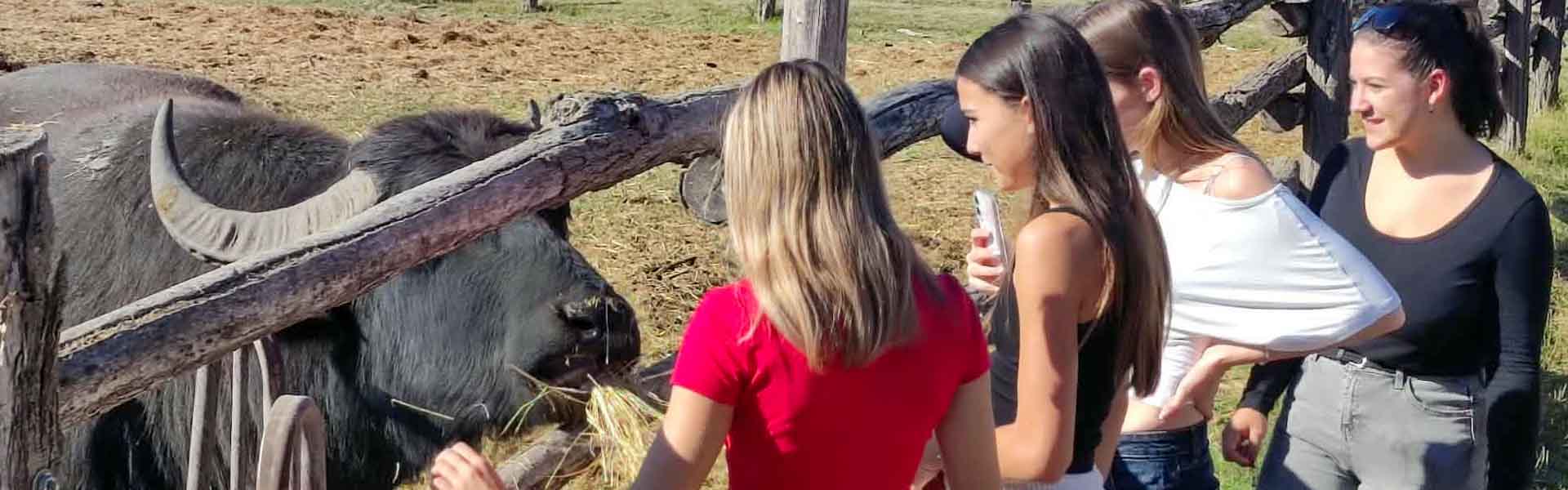 Állatok világnapja a Csetényi parkban