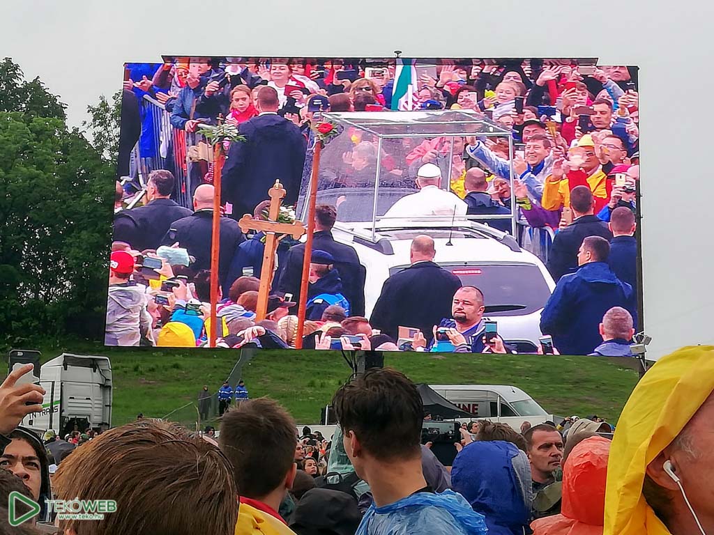 papa19 4